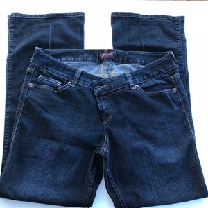Torrid Woman’s Jeans 16T